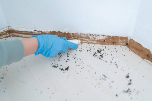 Pest Control Cost in Northfield, IL